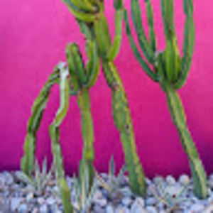 Meet your Posher, Veronica